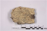 藏品(文字衣屬)的圖片